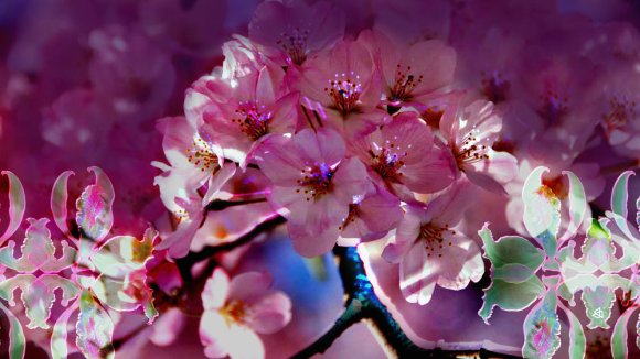  Ilustración de Ada Peña.&nbsp; 