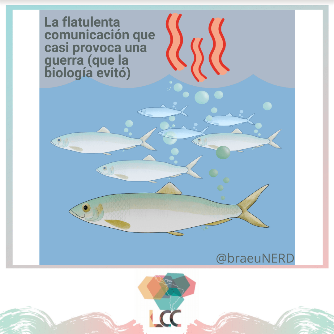 Arenques del Báltico y las flatulencias que casi provocan una guerra. BraeuNERD Blog. RedLCC